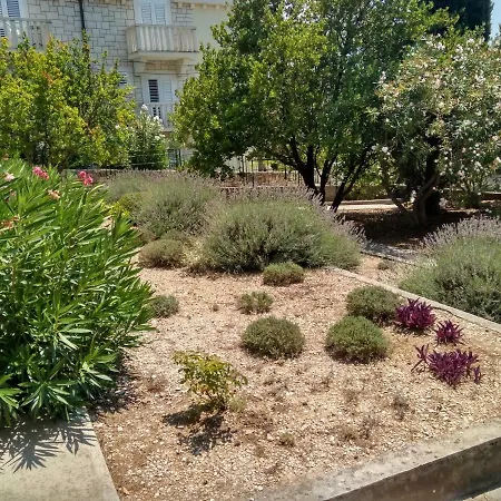 Apartmant Vejnovic - Apartament